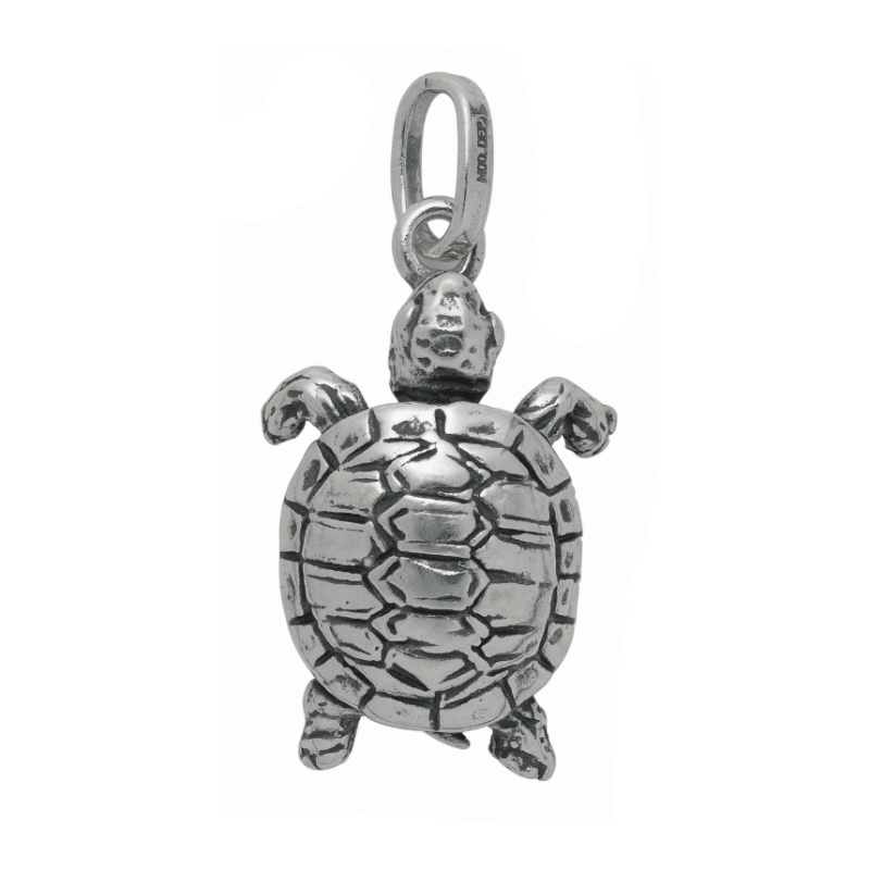 Raspini Tortoise Charms