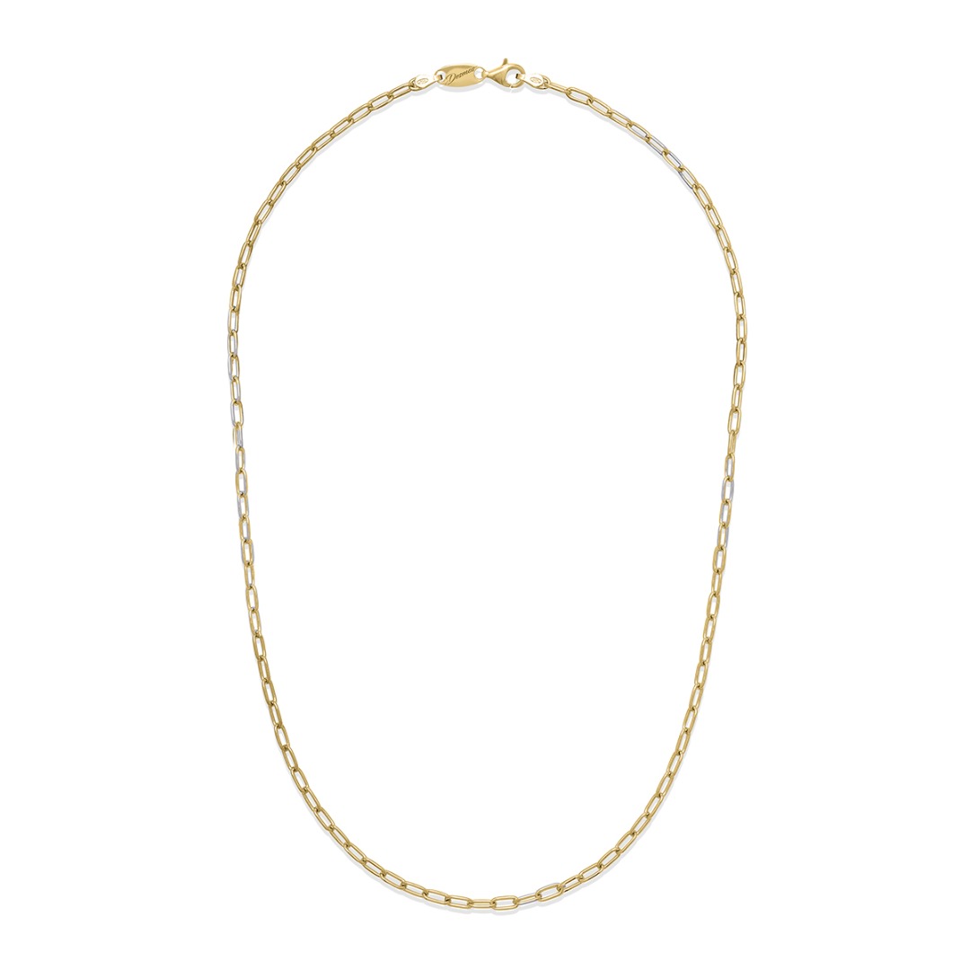 Desmos Long Chain Necklace in Golden Silver 41 cm
