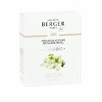 Charging Car diffuser Lampe Berger Vento d'Oceano