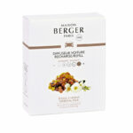 Charging Car diffuser Lampe Berger Vento d'Oceano